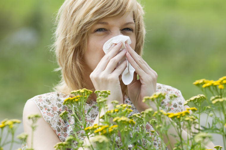 allergy season